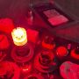 Светодиодная лампа CarProfi S25 (1157) RED 23SMD, Active Light series, 12V, красное свечение (блистер 2 шт.) | параметры