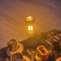 Светодиодная лампа DEQST T20 WY21W W3x16d Amber , жёлтое свечение (2 шт.) | параметры